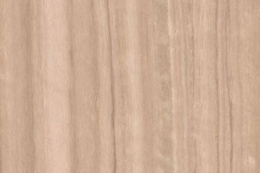 fineer Eucalyptus