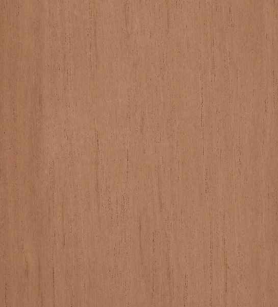 Fineerhout Ceder (loofboom)